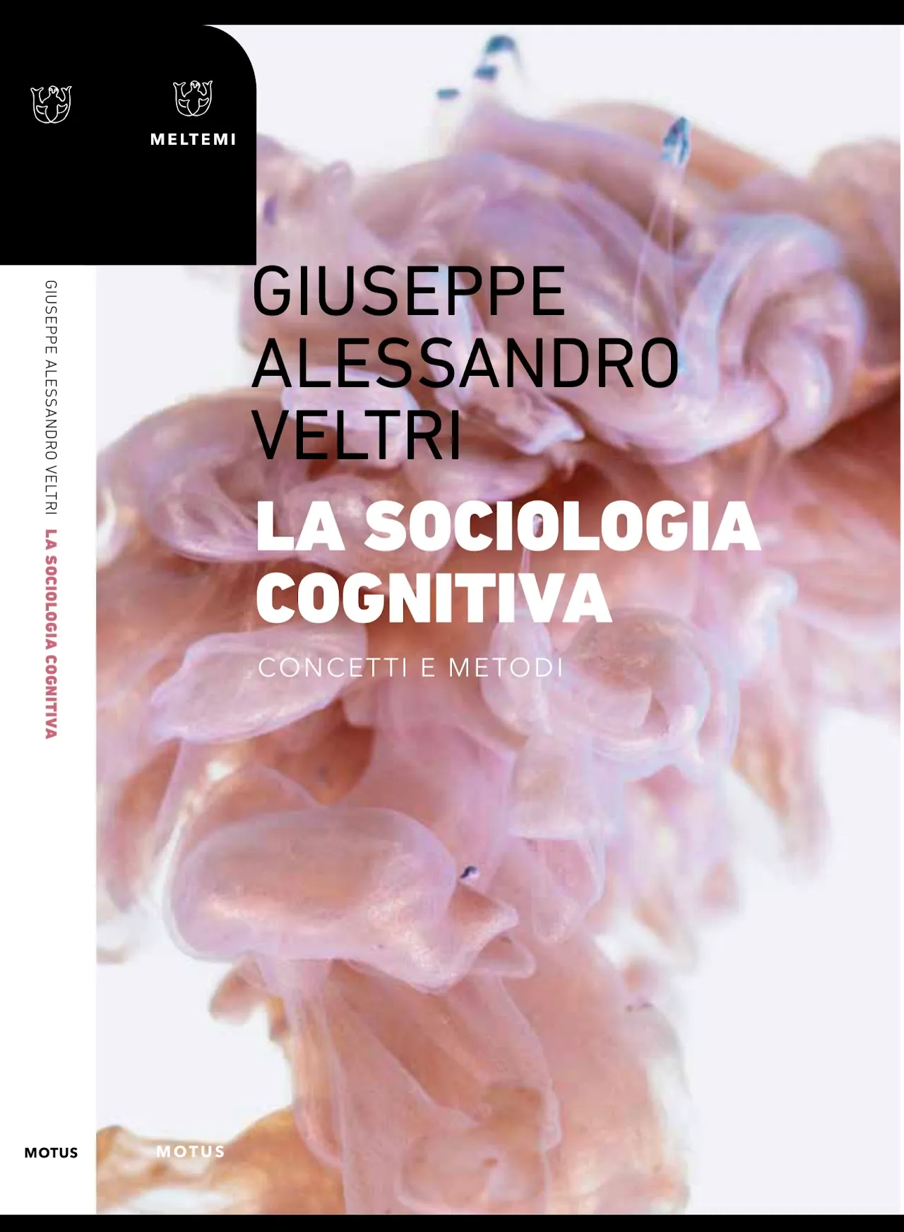 La sociologia cognitiva, concetti e metodi book cover